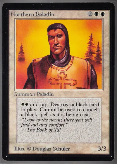 Northern Paladin