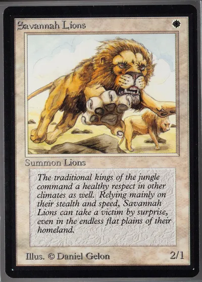 Savannah Lions