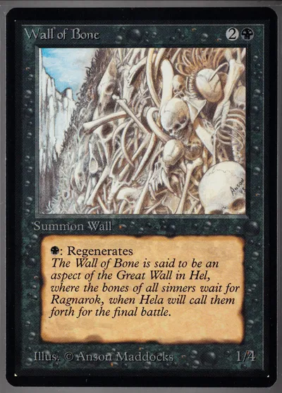 Wall Of Bone