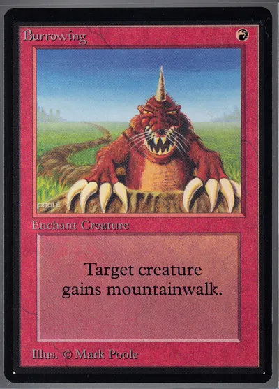 Burrowing
