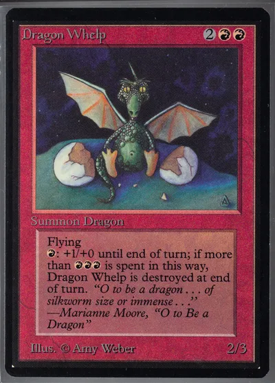 Dragon Whelp