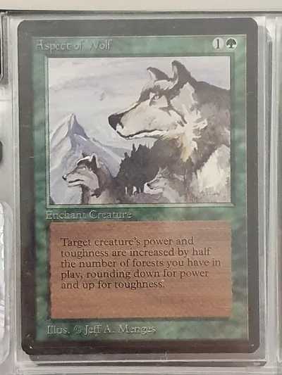 Aspectofwolf