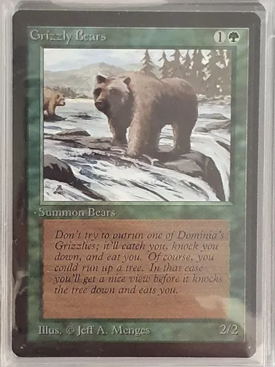 Grizzlybears
