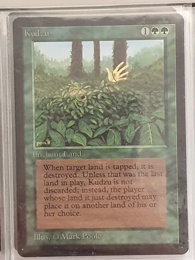 Kudzu