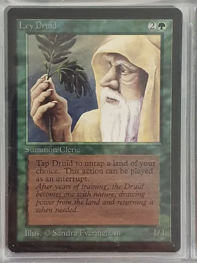 Leydruid