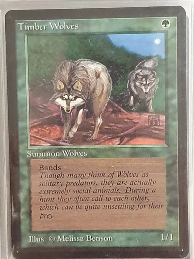 Timberwolves