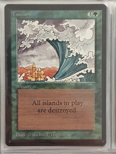 Tsunami