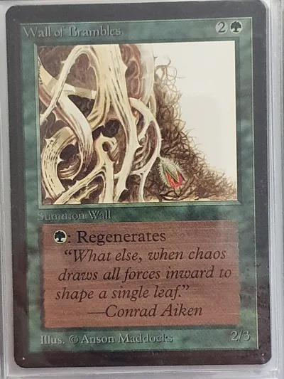 Wallofbrambles