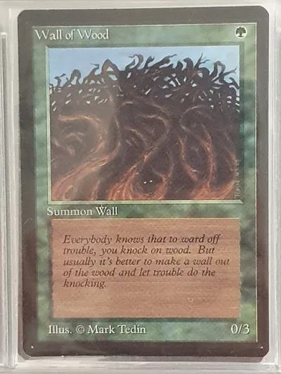 Wallofwood