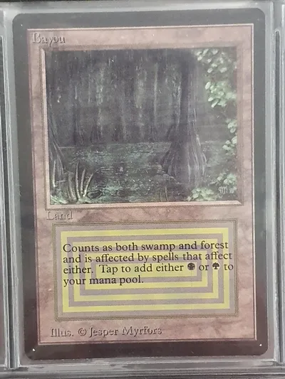 Bayou