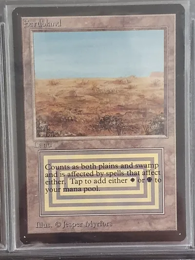 Scrubland