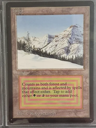 Taiga