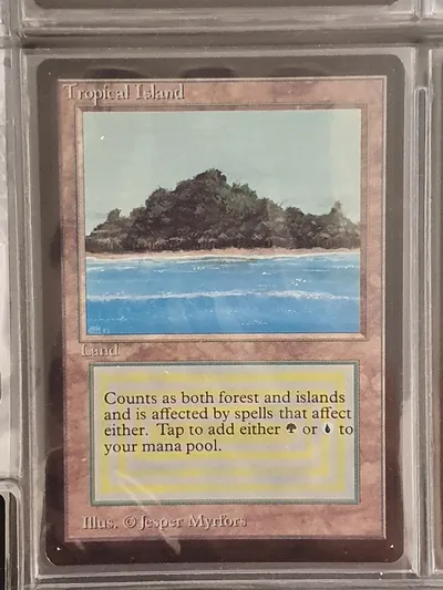 Tropical Island