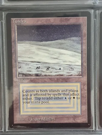 Tundra