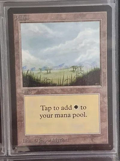 Plainsa